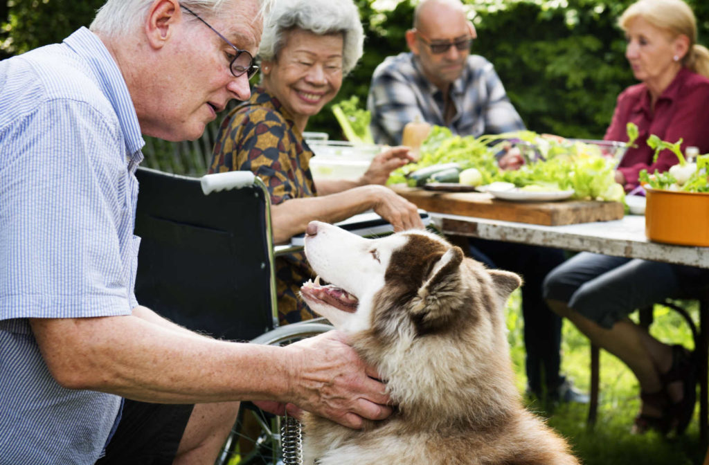 A senior man playing with a dog at a park with other seniors eating.